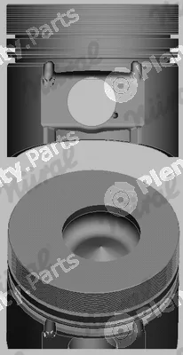 Nüral 87-252507-30 — Piston