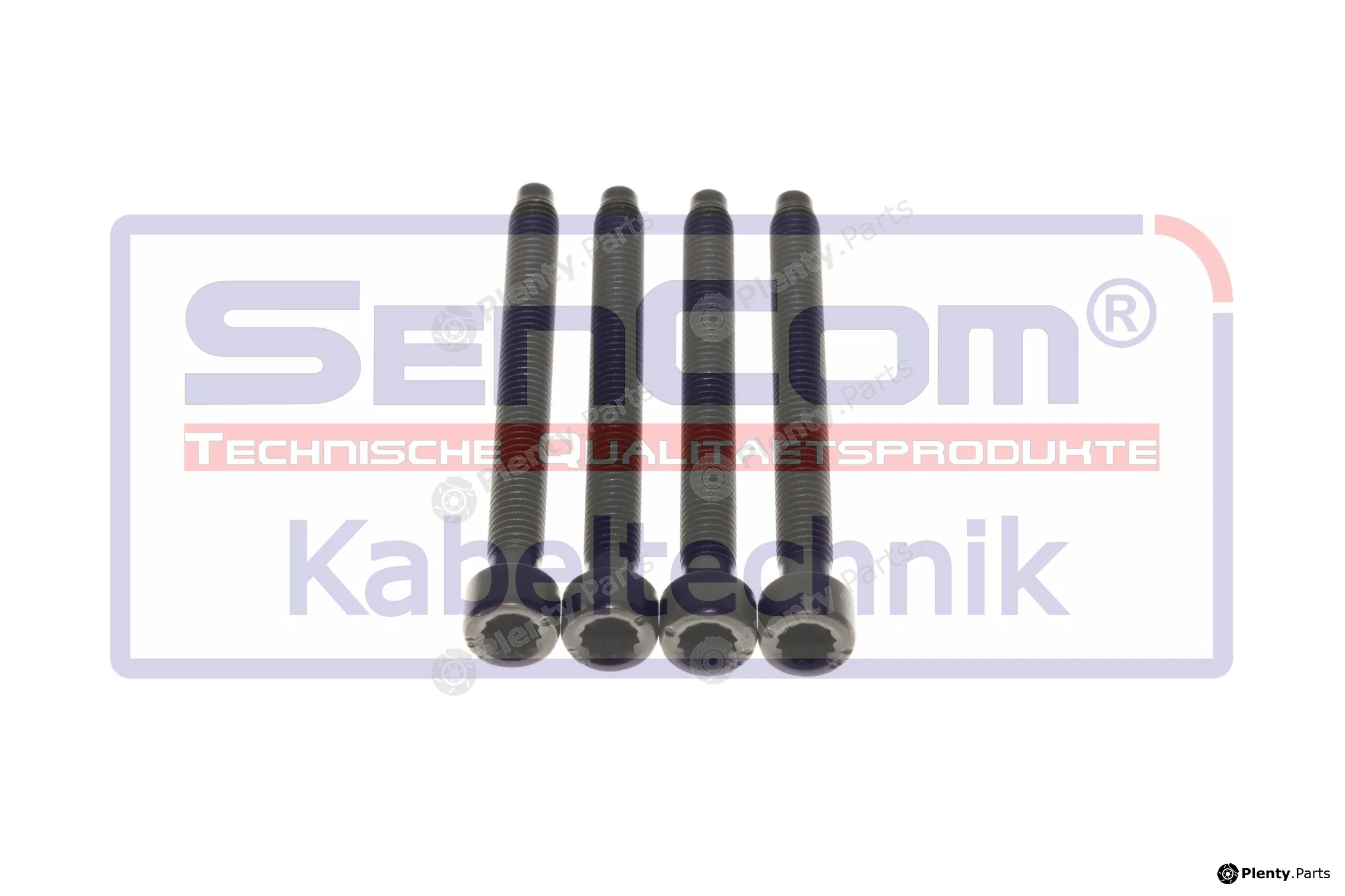 SenCom 20673-S-4 — Screw, injection nozzle holder Schrauben-Set, Einspritzdüsenhalter für VAG Fahrzeuge