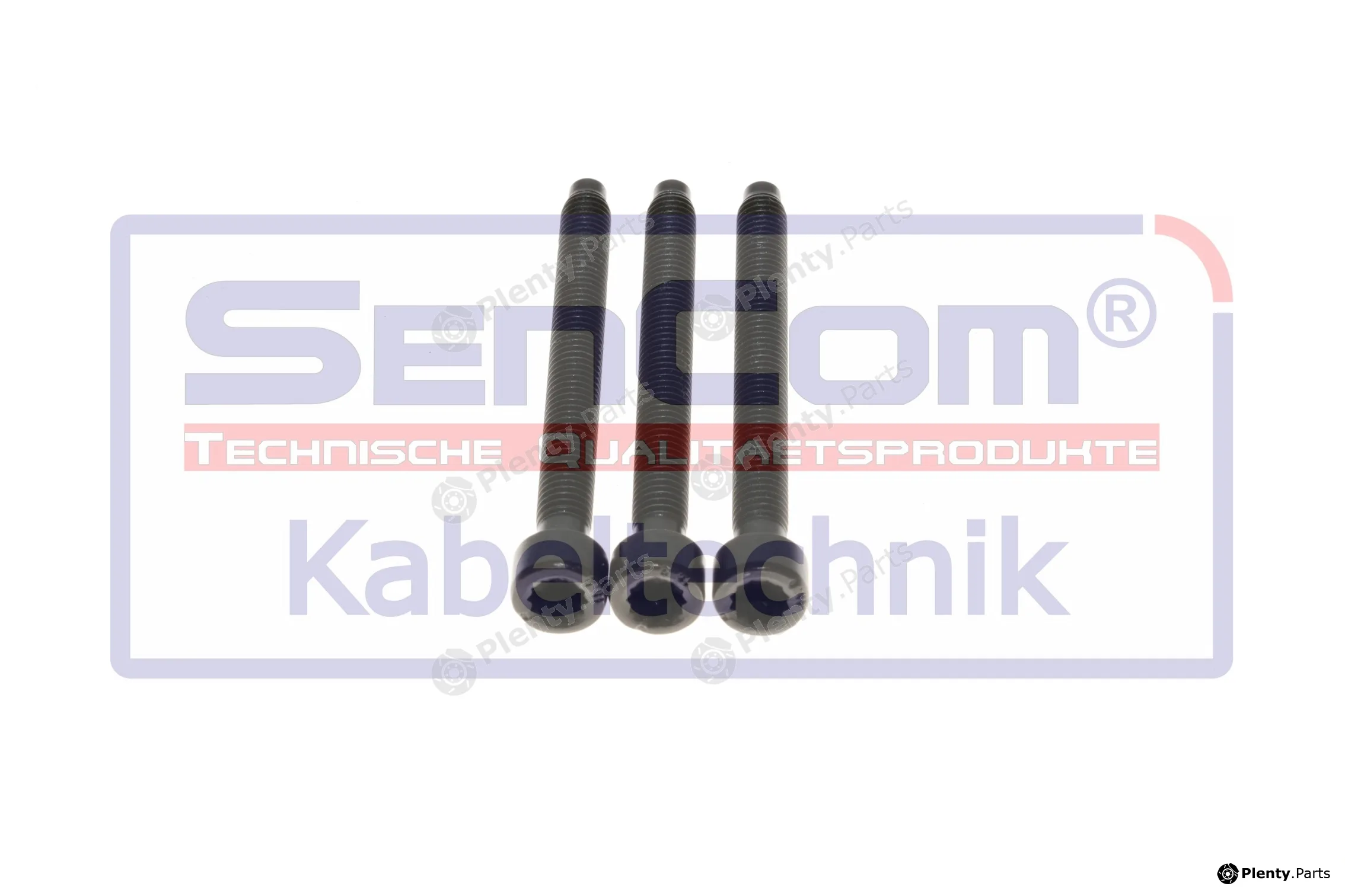 SenCom 20673-S-3 — Screw, injection nozzle holder Schrauben-Set, Einspritzdüsenhalter für VAG Fahrzeuge