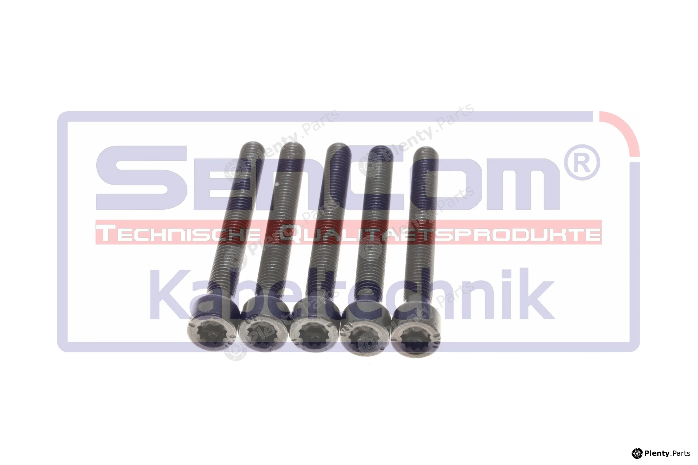 SenCom 20681-S-5 — Screw, injection nozzle holder Schrauben-Set, Einspritzdüsenhalter für VAG Fahrzeuge