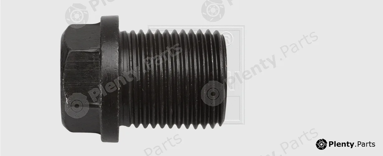 SWGAutomotive 24314100280 — Screw Plug, oil sump
