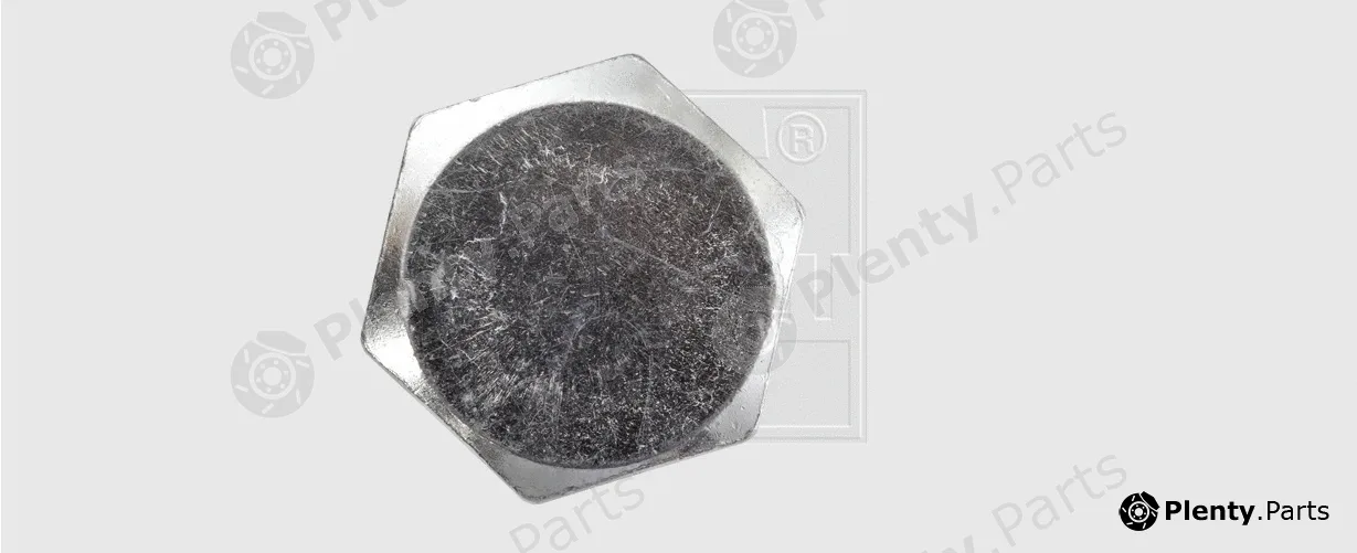 SWGAutomotive 2431012580 — Screw Plug, oil sump