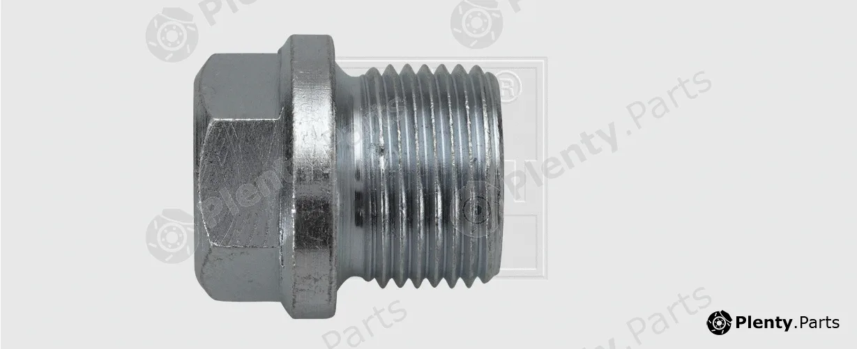 SWGAutomotive 24300101216 — Screw Plug, oil sump