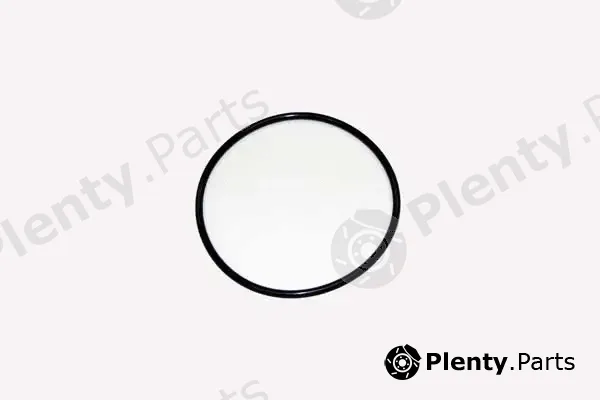 SCT - Mannol SC7055P — Fuel Filter