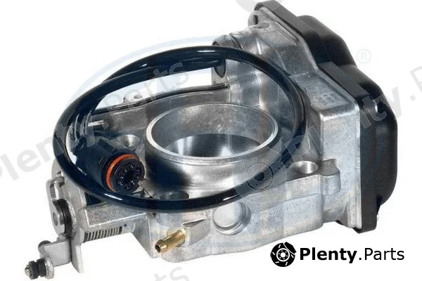 ERA 556110 — Throttle Body