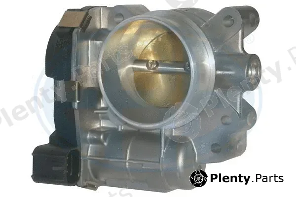ERA 556195 — Throttle Body