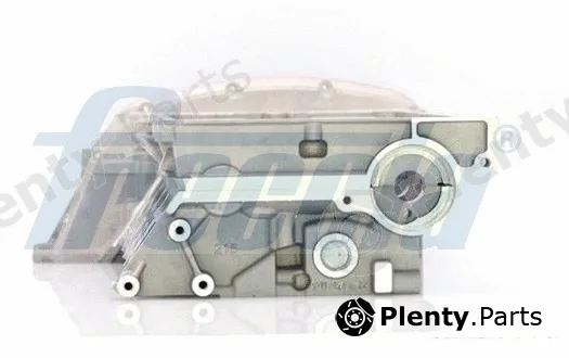 Freccia CH17-1011 — Cylinder Head