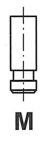 Freccia R6245/SNT — Intake Valve