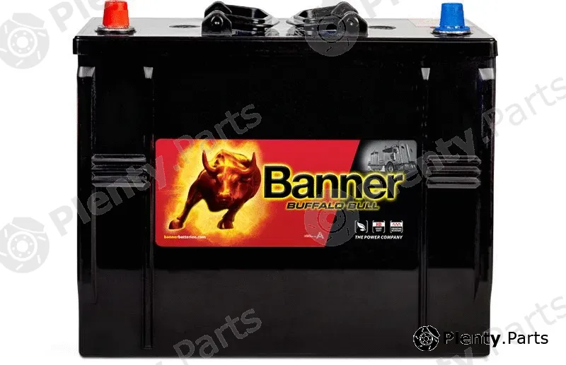 BannerPool 010625130101 — Starter Battery Buffalo Bull