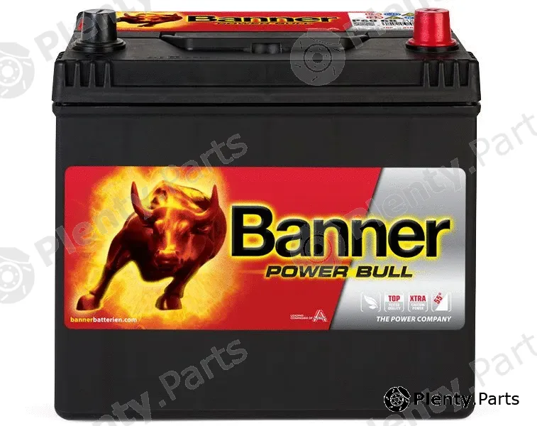 BannerPool 013560680101 — Starter Battery Power Bull