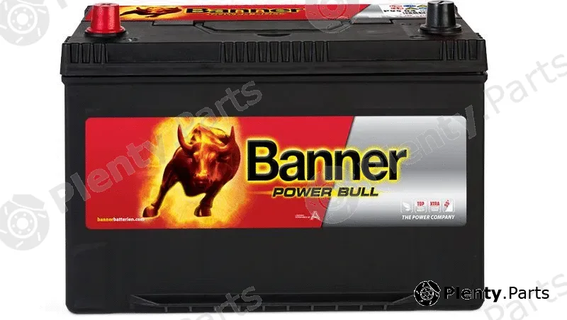 BannerPool 013595050101 — Starter Battery Power Bull