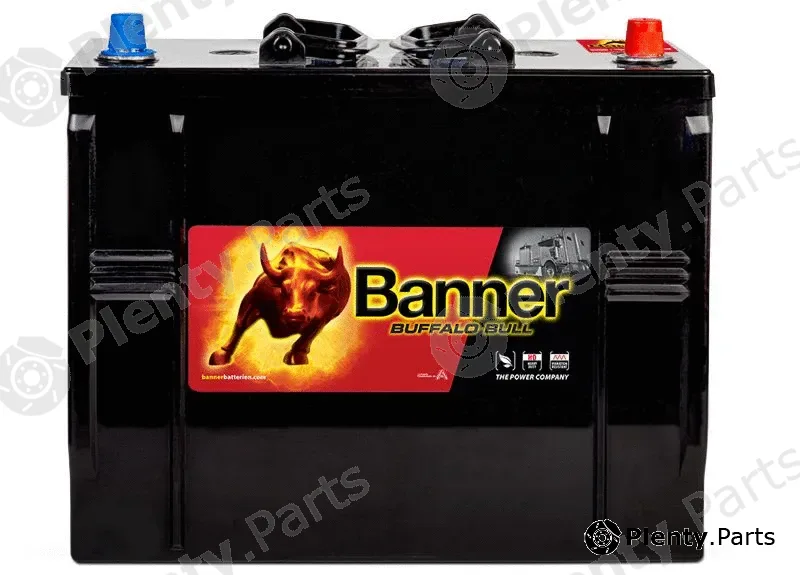 BannerPool 010625110101 — Starter Battery Buffalo Bull