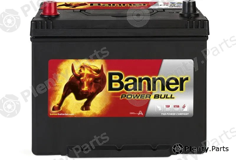BannerPool 013570240101 — Starter Battery Power Bull