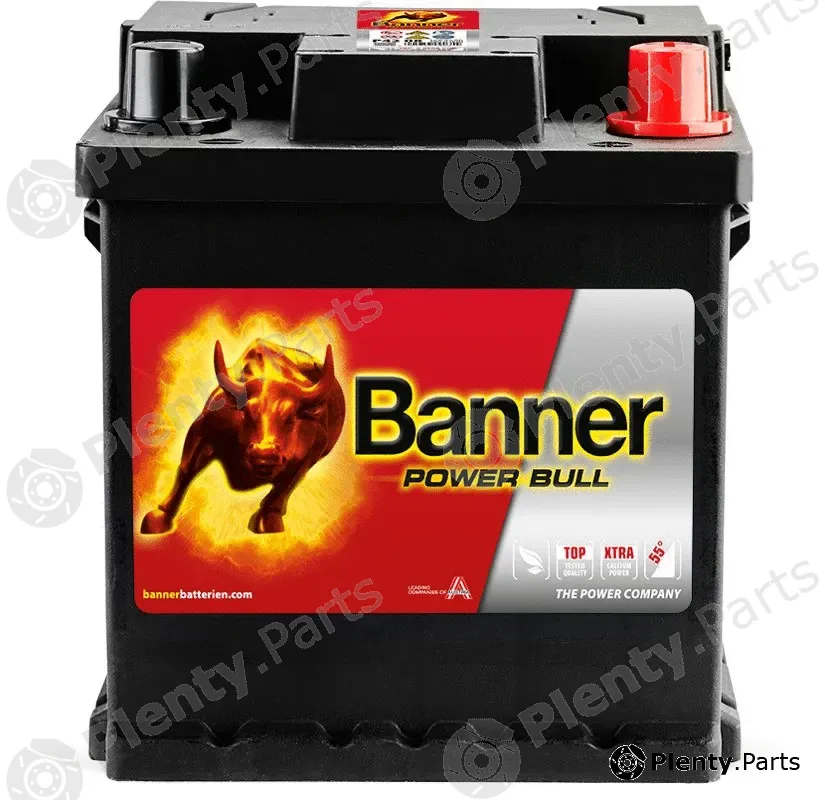 BannerPool 013542080101 — Starter Battery Power Bull