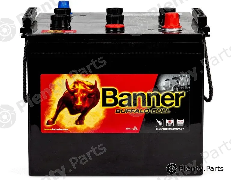 BannerPool 010625230100 — Starter Battery Buffalo Bull