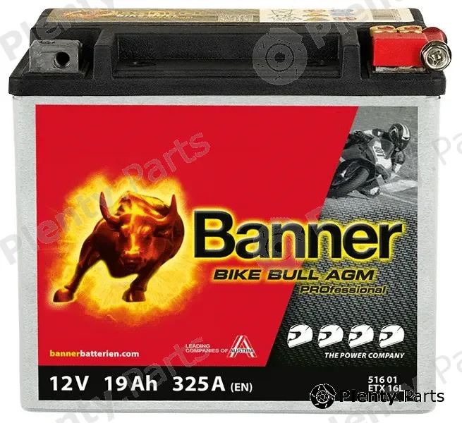 BannerPool 024516010101 — Starter Battery Bike Bull AGM PROfessional