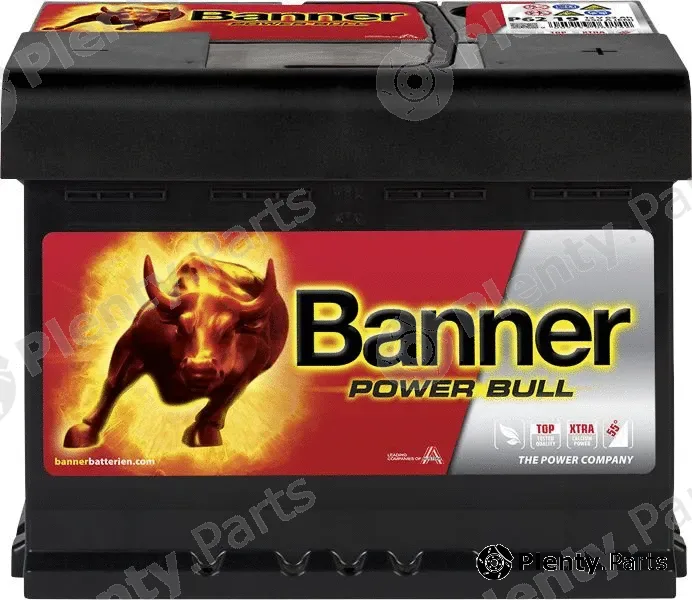 BannerPool 013562190101 — Starter Battery Power Bull