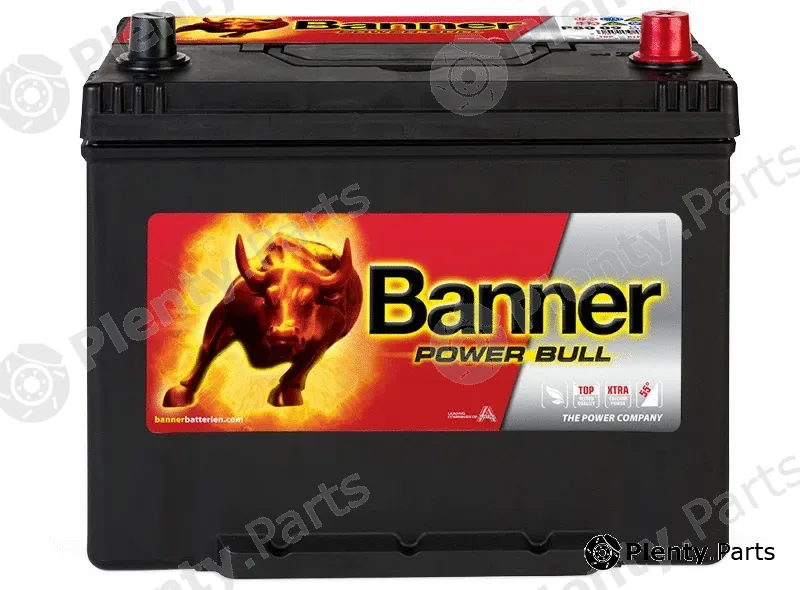 BannerPool 013580090101 — Starter Battery Power Bull