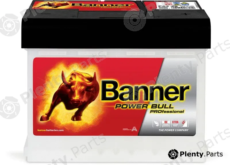 BannerPool 013563400101 — Starter Battery Power Bull