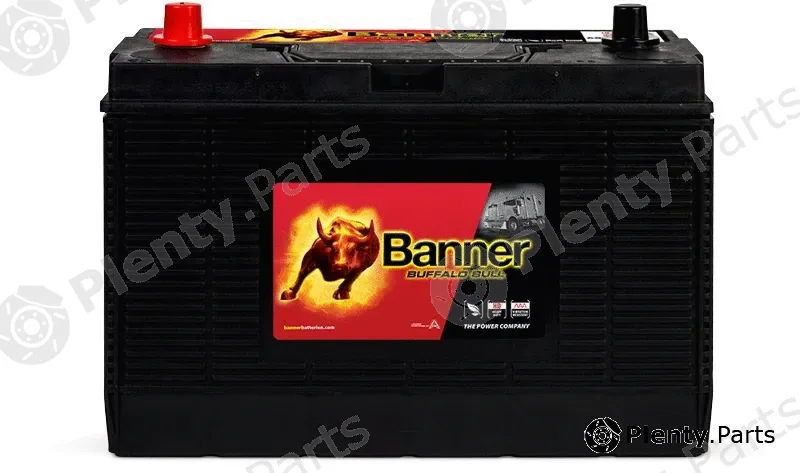 BannerPool 010605020101 — Starter Battery Buffalo Bull