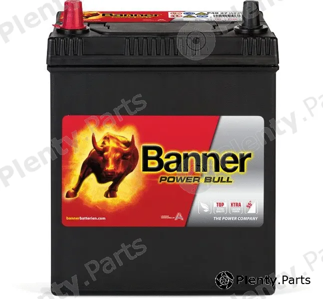 BannerPool 013540270101 — Starter Battery Power Bull