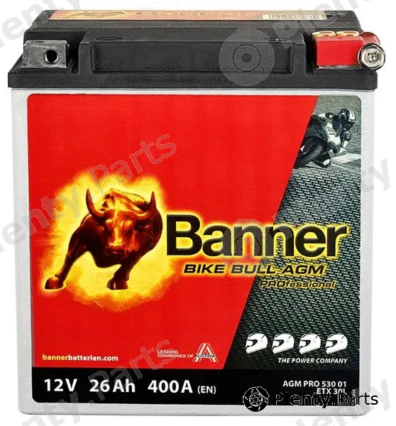 BannerPool 024530010101 — Starter Battery Bike Bull AGM PROfessional