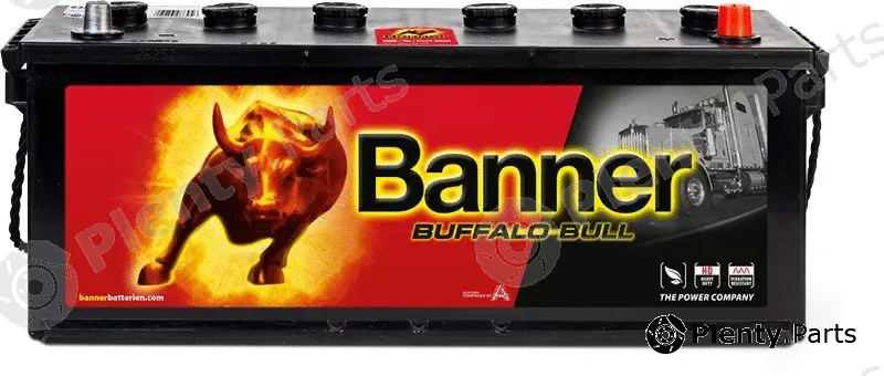 BannerPool 010632110101 — Starter Battery Buffalo Bull