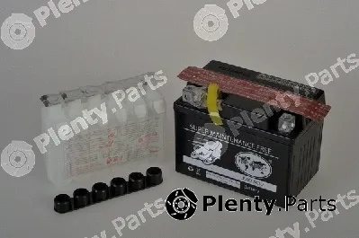 Ipsa TMBA50411 — Starter Battery