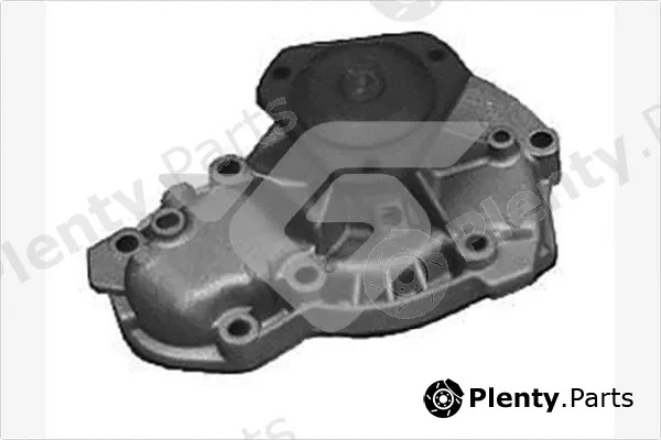 Hutchinson WP224 — Water Pump, engine cooling