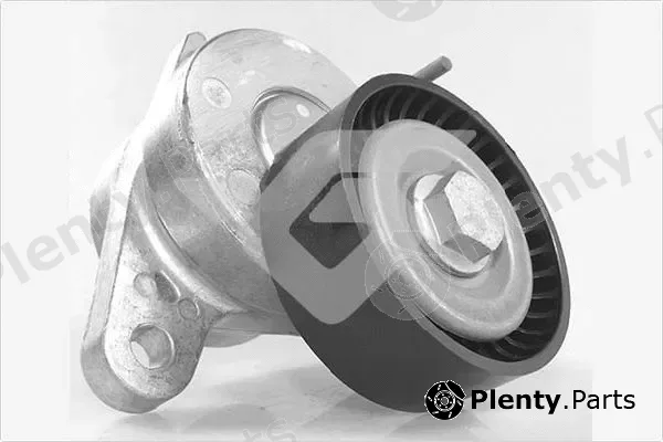 Hutchinson T0681 — Tensioner Pulley, V-ribbed belt