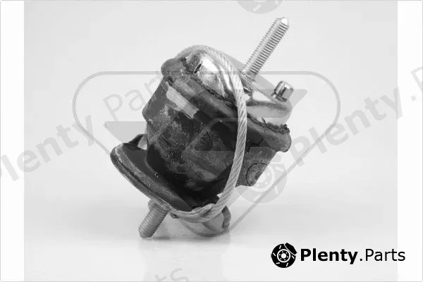 Hutchinson 597029 — Mounting, engine