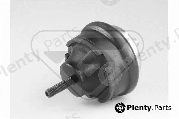 Hutchinson 594198 — Mounting, engine