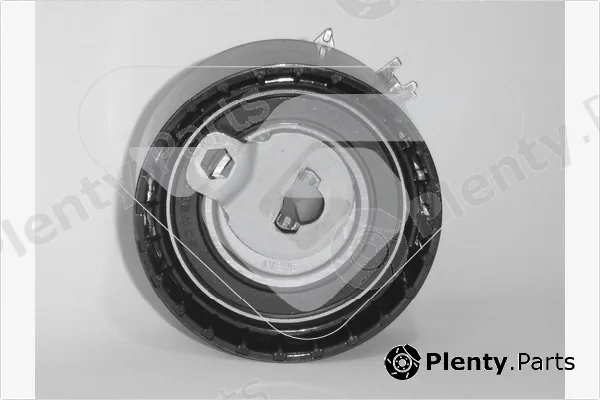 Hutchinson HTG290 — Tensioner Pulley, timing belt