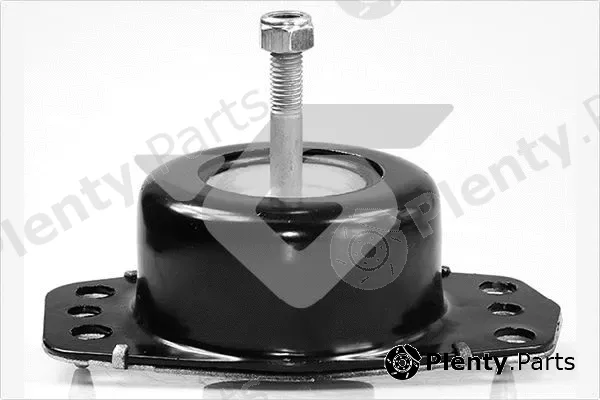 Hutchinson 594407 — Mounting, engine