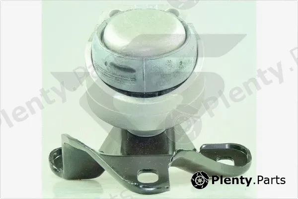Hutchinson 594675 — Mounting, engine