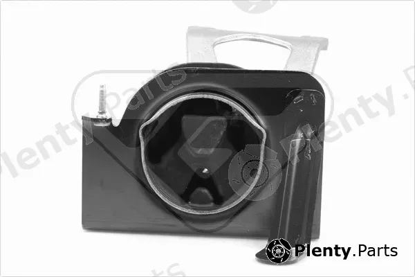 Hutchinson 538704 — Mounting, engine