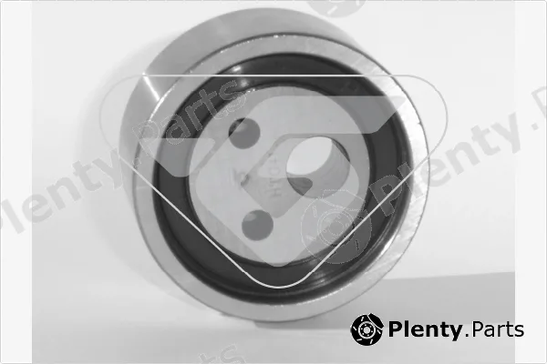 Hutchinson HTG41 — Tensioner Pulley, timing belt