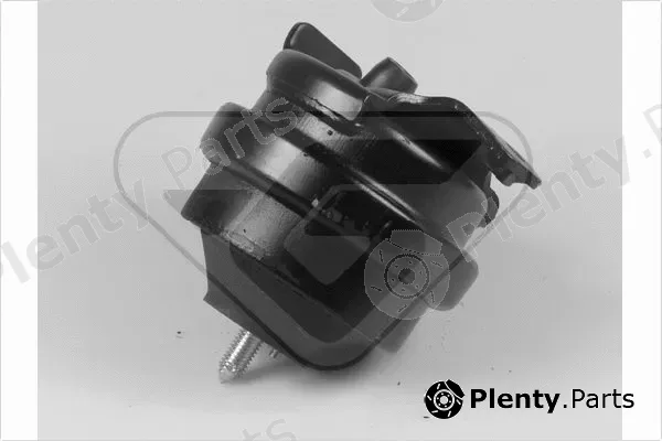 Hutchinson 535976 — Mounting, engine