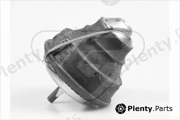 Hutchinson 597028 — Mounting, engine