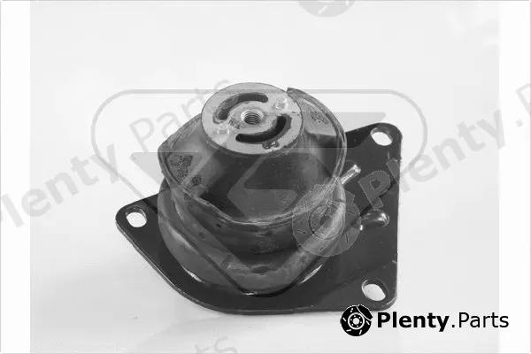 Hutchinson 594266 — Mounting, engine