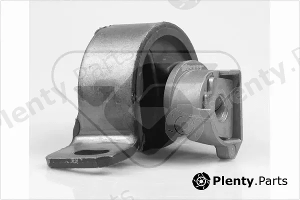 Hutchinson 538239 — Mounting, engine