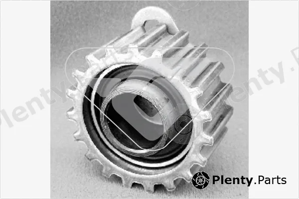 Hutchinson HTG66 — Tensioner Pulley, timing belt