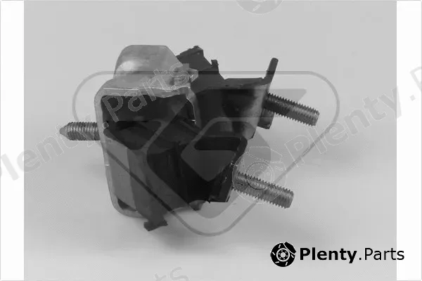 Hutchinson 538095 — Mounting, engine