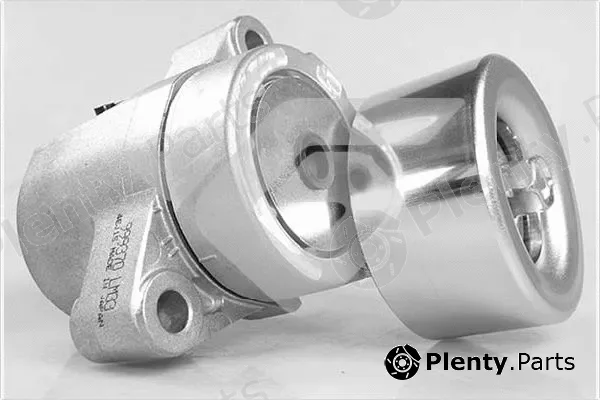 Hutchinson T0493 — Tensioner Pulley, V-ribbed belt
