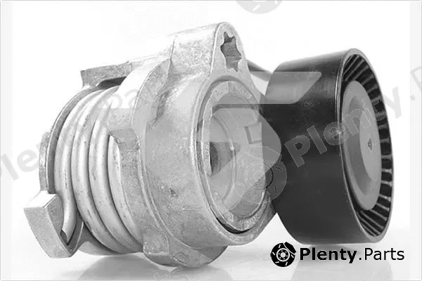 Hutchinson T0591 — Tensioner Pulley, V-ribbed belt