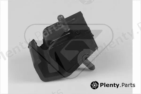 Hutchinson 598012 — Mounting, engine