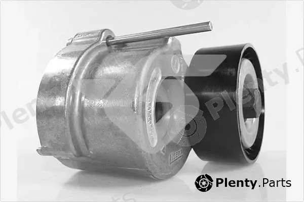Hutchinson T0562 — Tensioner Pulley, V-ribbed belt