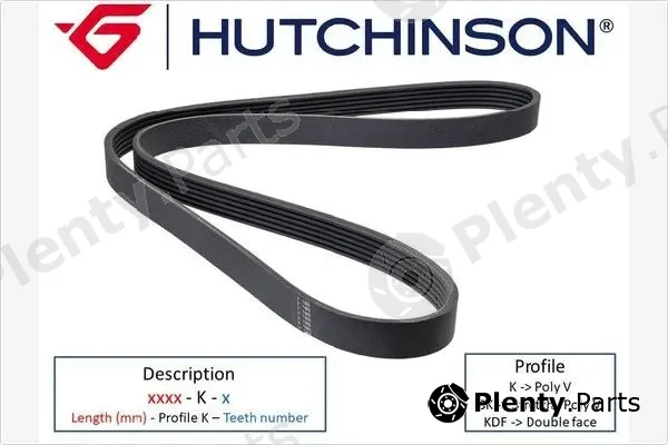 Hutchinson 1099K7 — V-Ribbed Belt Poly-V
