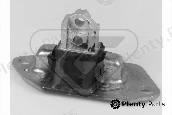 Hutchinson 538605 — Mounting, engine
