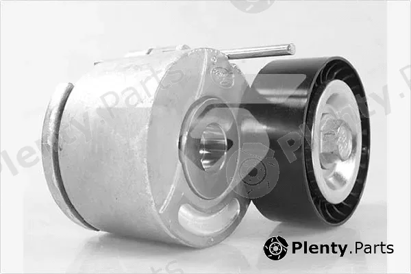 Hutchinson T0572 — Tensioner Pulley, V-ribbed belt